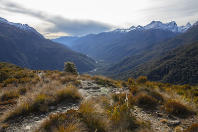 mountain