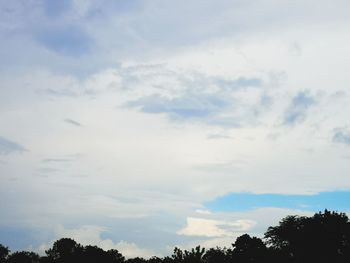 Low angle view of trees against sky