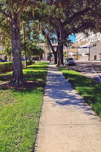 Footpath amidst trees in park