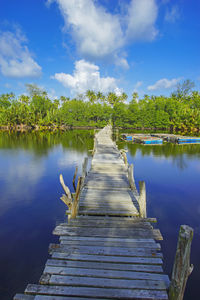 Boardwalk amidst plants in lake against sky