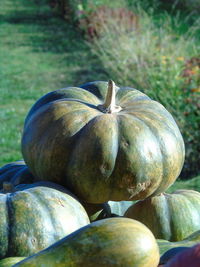 Close-up of pumpkin