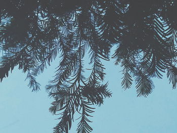 Low angle view of tree against clear blue sky