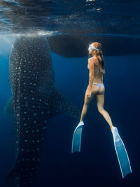 Cropped image of man swimming in sea