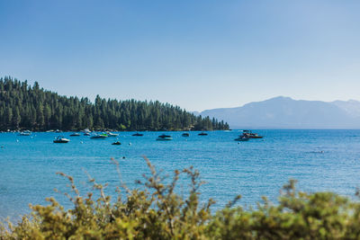 Boats docked in a mountain lake beside pine forests