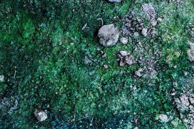 High angle view of rocks