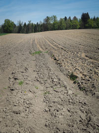 Scenic view of field against sky