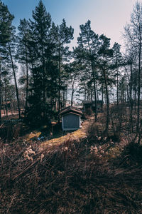 Trees and plants growing on field by house in forest against sky