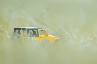 Yellow toy car on field