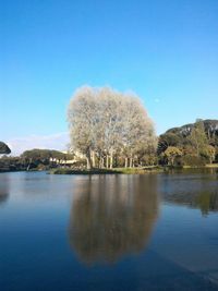 Reflection of trees in water against clear blue sky