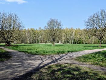 View of park against sky