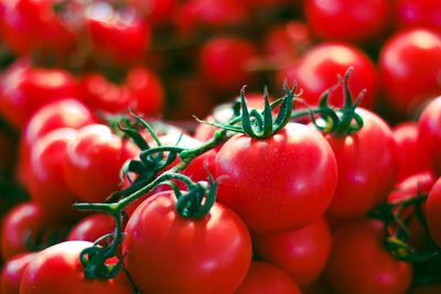 Close-up of tomatoes