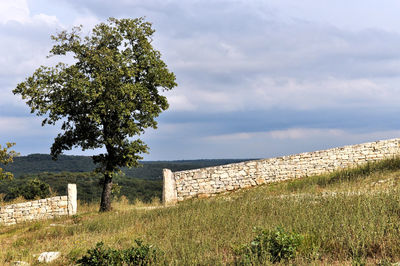 Stone wall on grassy field against sky