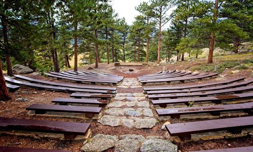 Empty bench in park