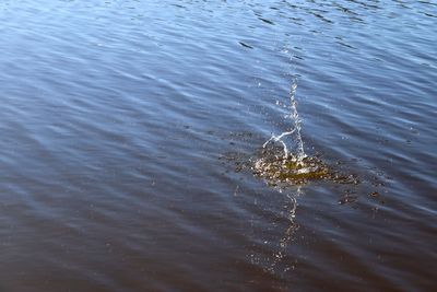 Full frame shot of rippled water