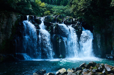 Scenic view of waterfall in forest