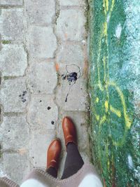 Low section of person standing on floor