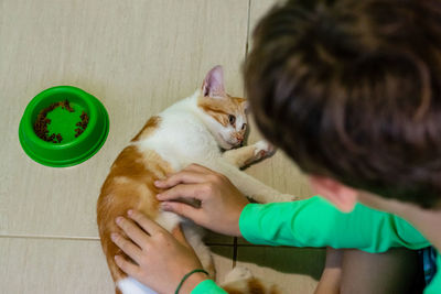 A boy petting his cat lying on the floor. domestic aminal.