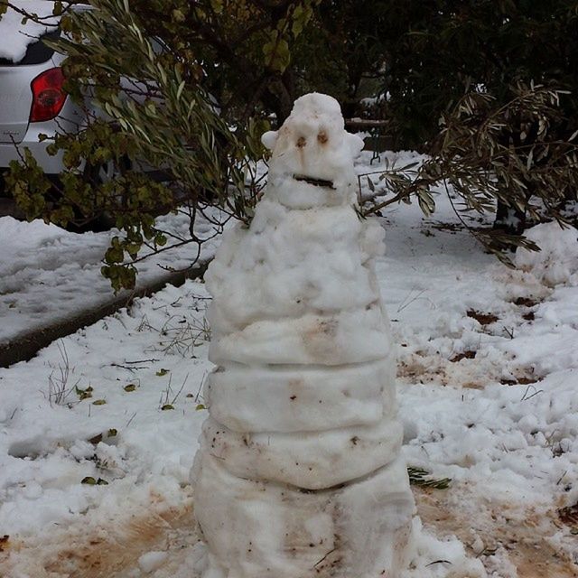 tree, snow, winter, white color, human representation, cold temperature, art and craft, sculpture, art, covering, nature, day, statue, outdoors, built structure, stone material, creativity, no people, growth, frozen