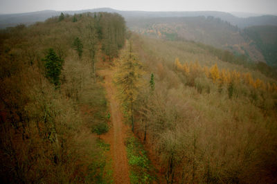 Scenic view of landscape