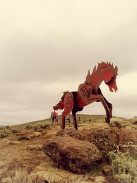 Horse on rock by land against sky