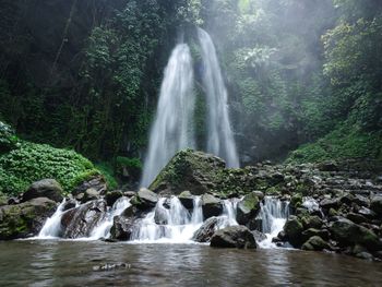 Scenic view of waterfall in forest