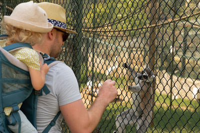 Caucasian man carrying baby girl in backpack, tourists wearing sunhat visiting zoo feeding lemurs