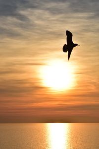 Silhouette bird flying over sea against sky during sunset