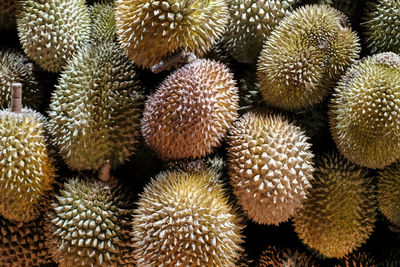 Full frame shot of durians fruit