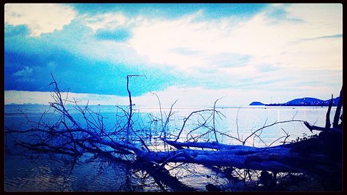 Scenic view of lake against sky during winter