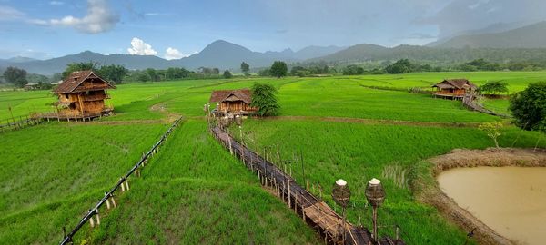 Scenic view of agricultural field against sky