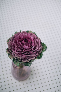 Close-up of pink rose on table