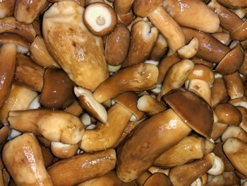 Full frame shot of beans