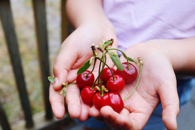 Midsection of woman holding tomatoes