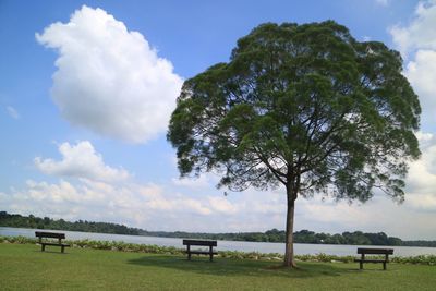 Bench by tree against sky