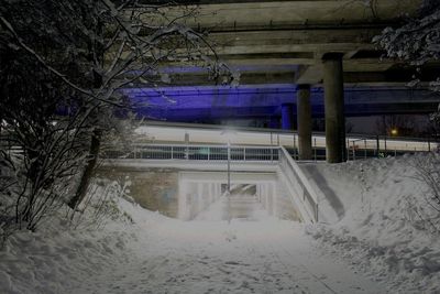 Snow covered trees by building