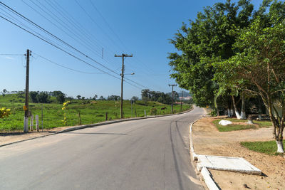 Empty road along trees