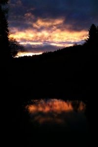 Silhouette of trees at sunset