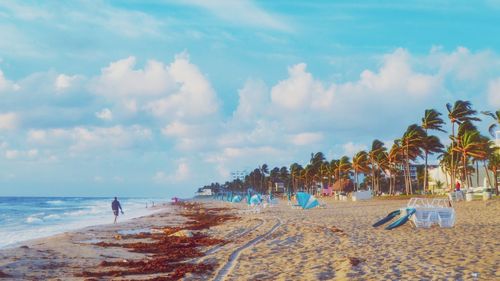 Shoreline  view of beach against sky