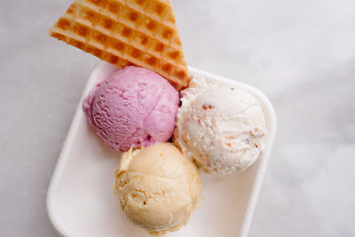 Close-up of ice cream in plate against white background