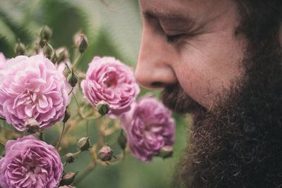 Close-up of pink flowers