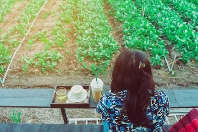 Rear view of woman sitting at table