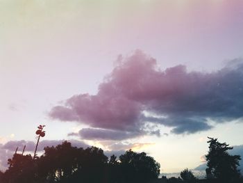 Low angle view of silhouette trees against sky