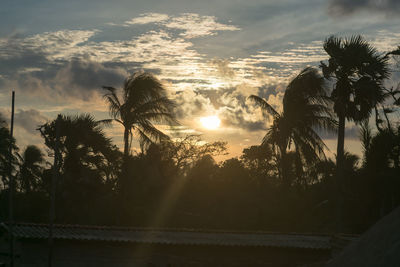 Silhouette palm trees against sky during sunset