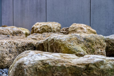 Close-up of stones on stone wall