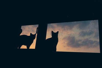 Silhouette people walking on field
