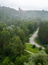 High angle view of road amidst trees in forest