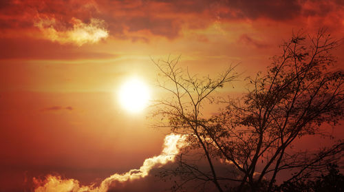 Low angle view of silhouette tree against orange sky