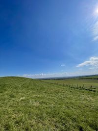 Scenic view of field against blue sky