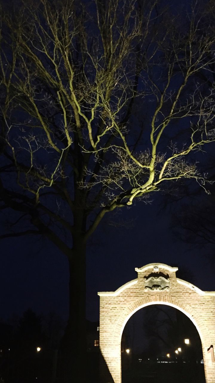 LOW ANGLE VIEW OF ILLUMINATED TREE AGAINST SKY AT NIGHT