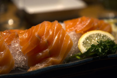 Close-up of salmon in tray